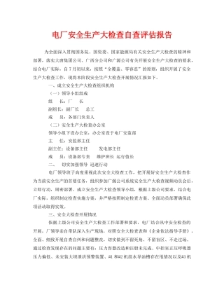 《安全管理文档》之电厂安全生产大检查自查评估报告 
