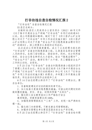 打非治违自查自检情况汇报2 (3)