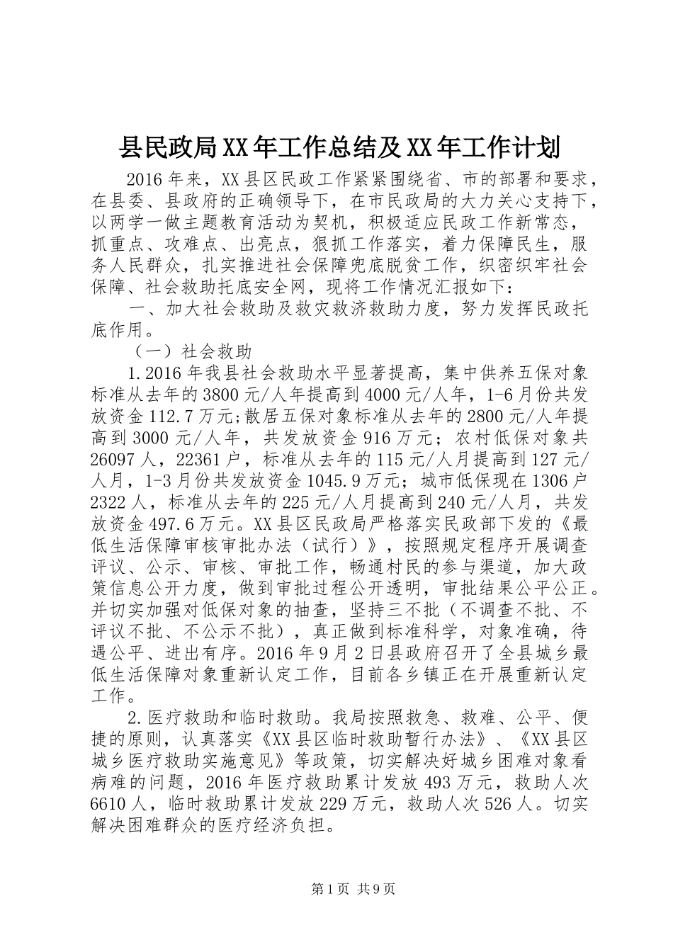 县民政局XX年工作总结及XX年工作计划_第1页