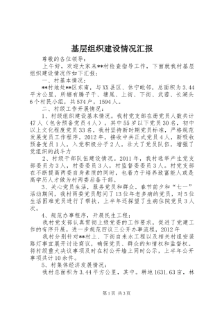基层组织建设情况汇报 