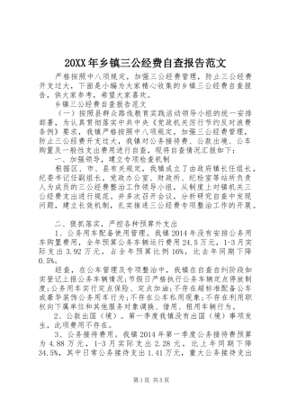 20XX年乡镇三公经费自查报告范文