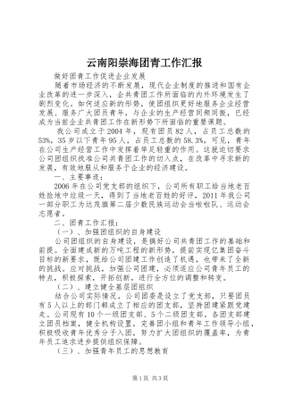 云南阳崇海团青工作汇报 