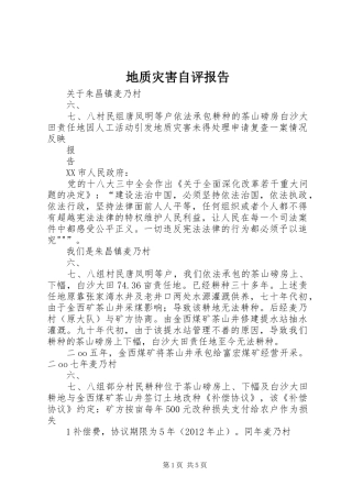 地质灾害自评报告 