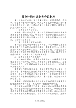 县审计局审计业务会议规章制度