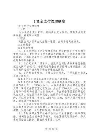 资金支付管理规章制度 ()