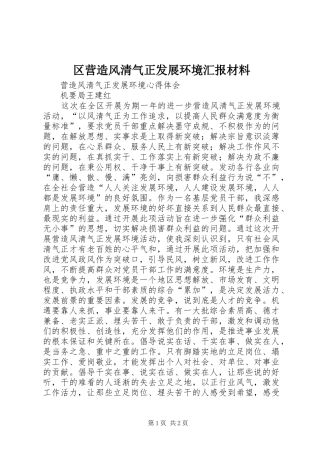 区营造风清气正发展环境汇报材料 