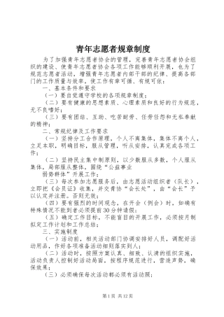 青年志愿者规章规章制度