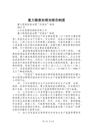 重大隐患治理双报告规章制度  (2)