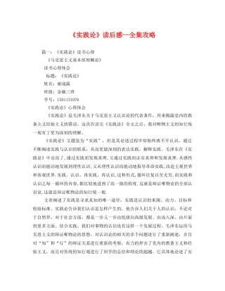 《实践论》-全集攻略 