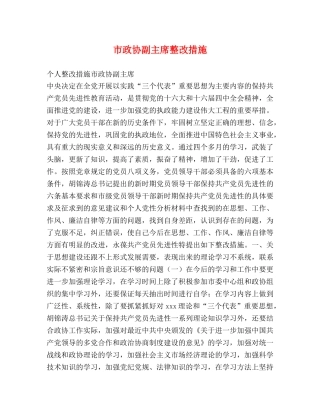 市政协副主席整改措施2 