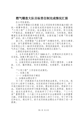 燃气稽查大队目标责任制完成情况汇报 