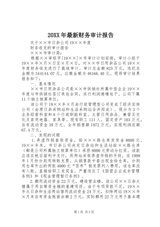 20XX年最新财务审计报告
