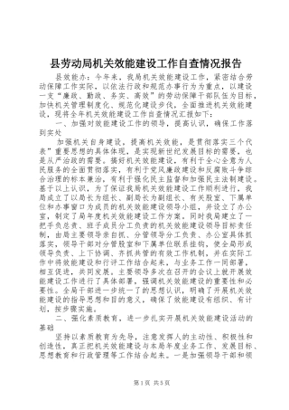 县劳动局机关效能建设工作自查情况报告 