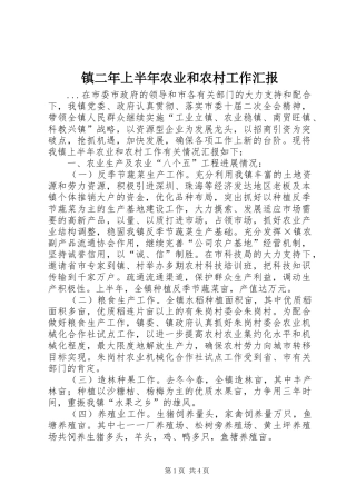 镇二年上半年农业和农村工作汇报 