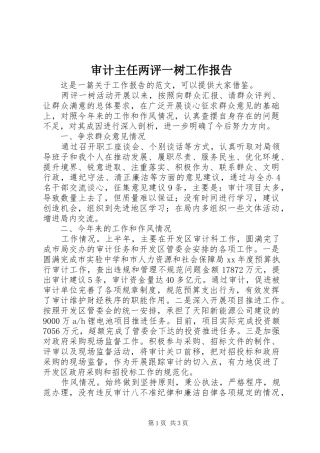 审计主任两评一树工作报告 
