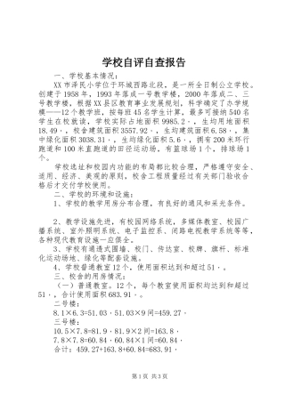 学校自评自查报告 