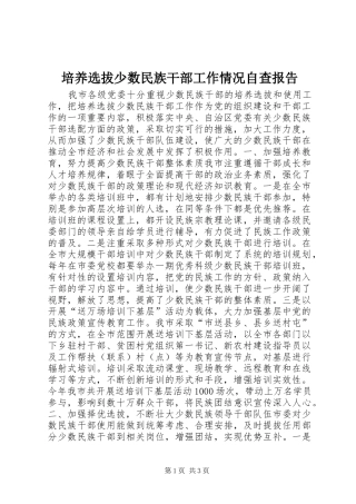 培养选拔少数民族干部工作情况自查报告 