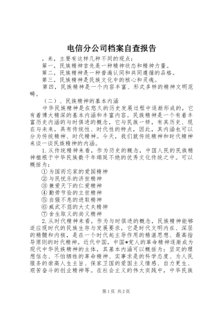 电信分公司档案自查报告 