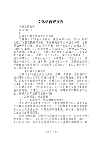 文化站自查报告 