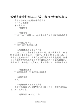钱铺乡黄冲村经济林开发工程可行性研究报告 