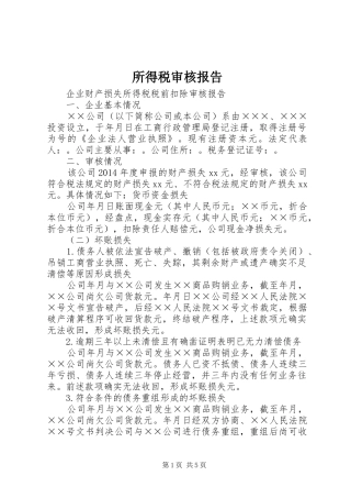 所得税审核报告 