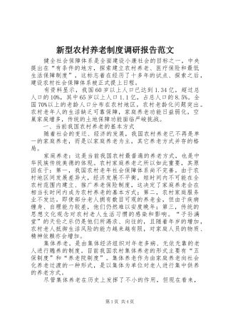 新型农村养老规章制度调研报告范文 