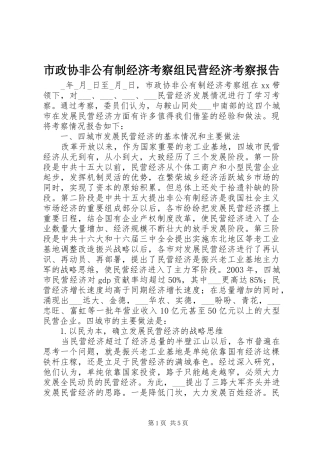 市政协非公有制经济考察组民营经济考察报告 