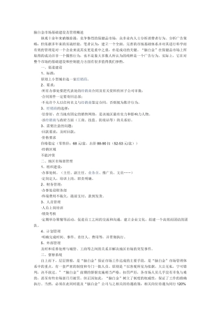 “脑白金”市场营销操作实录