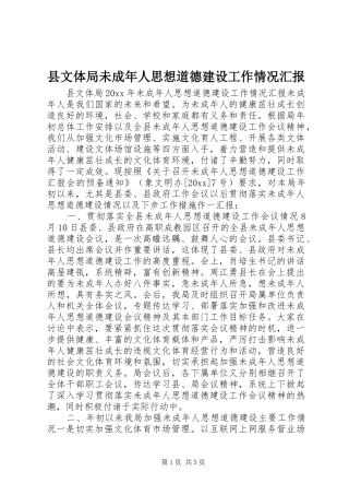 县文体局未成年人思想道德建设工作情况汇报 