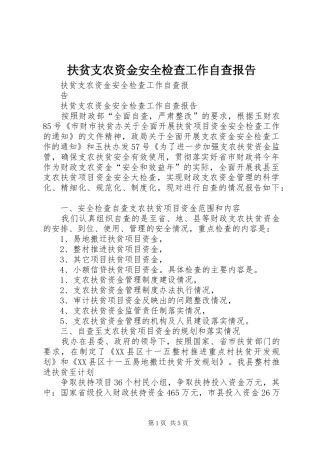 扶贫支农资金安全检查工作自查报告 