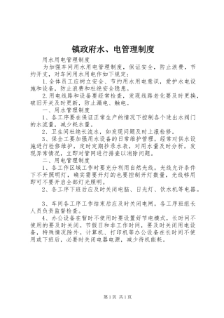 镇政府水、电管理规章制度 