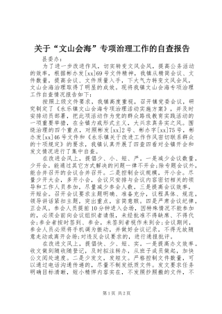 关于“文山会海”专项治理工作的自查报告 