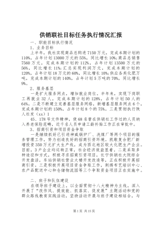 供销联社目标任务执行情况汇报 
