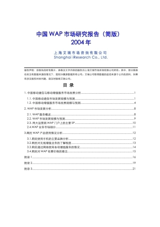 中国WAP市场研究报告(24页)