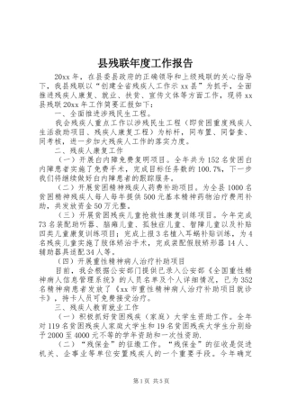 县残联年度工作报告 