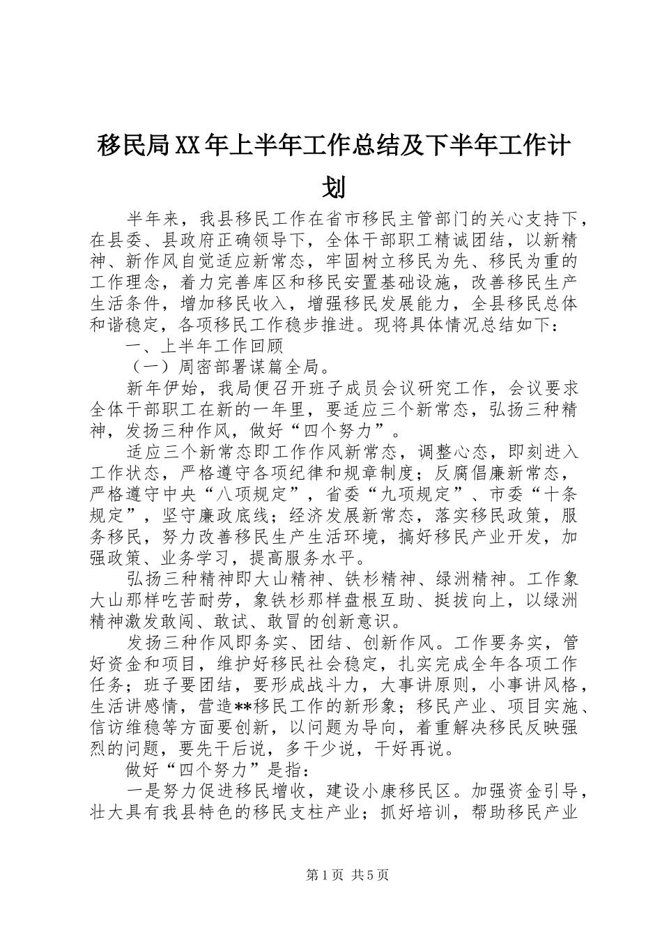 移民局XX年上半年工作总结及下半年工作计划_第1页