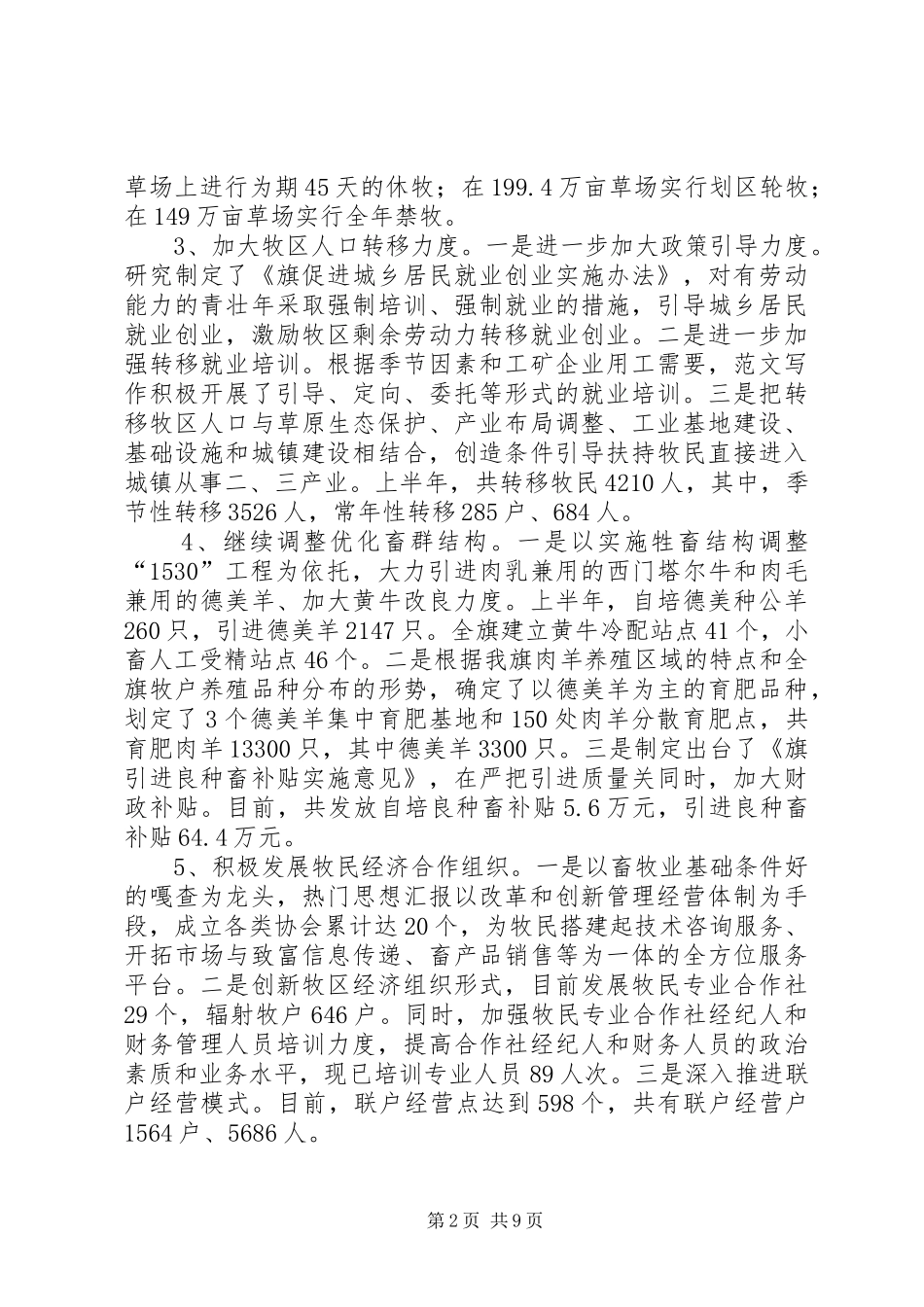 关于上半年度重点工作、重点项目落实情况的督查报告 _第2页