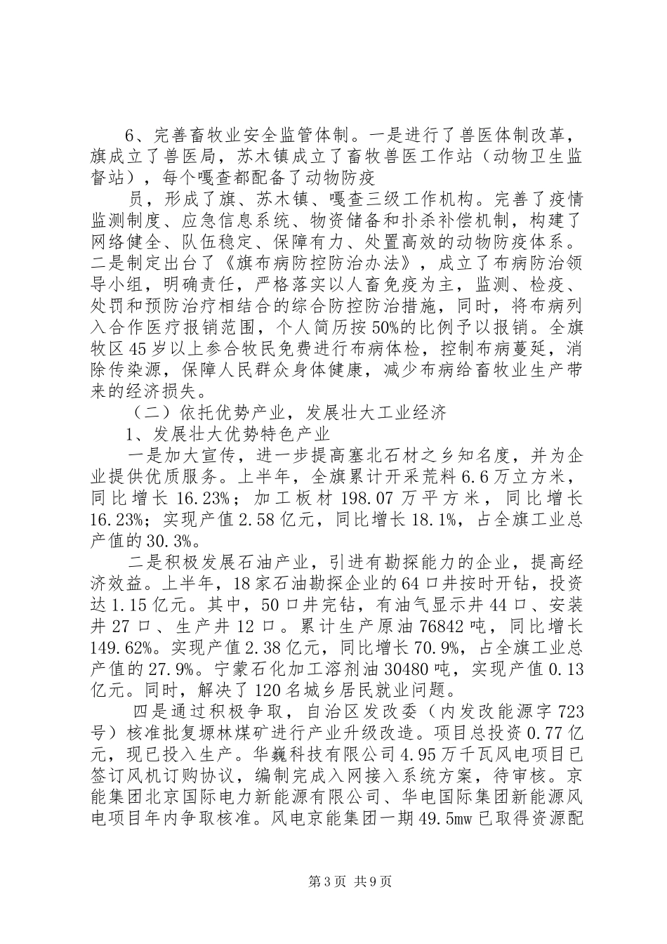 关于上半年度重点工作、重点项目落实情况的督查报告 _第3页