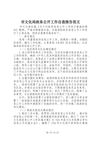 市文化局政务公开工作自查报告范文 