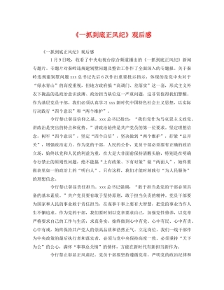 《一抓到底正风纪》观后感2 