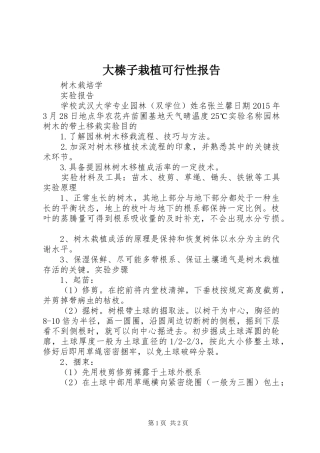 大榛子栽植可行性报告 