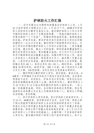 护林防火工作汇报 