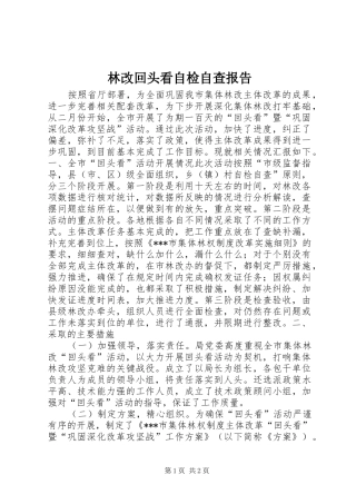 林改回头看自检自查报告 