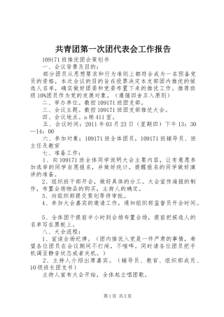 共青团第一次团代表会工作报告 