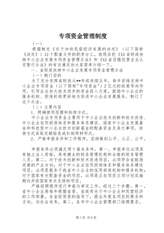 专项资金管理规章制度  (3)