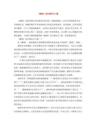 《蜡烛》读后感范文5篇 