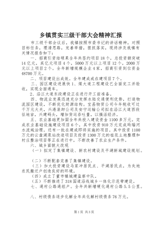 乡镇贯实三级干部大会精神汇报 