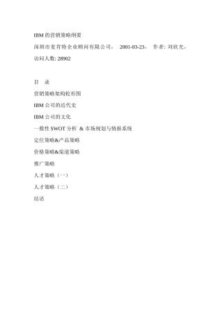 IBM公司的营销策略纲要