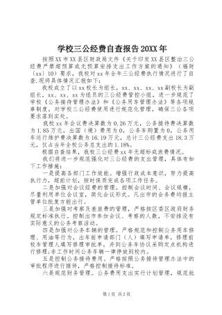 学校三公经费自查报告20XX年