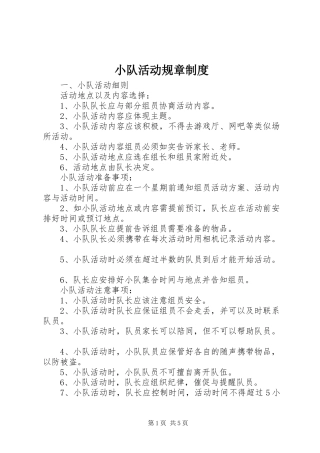 小队活动规章规章制度